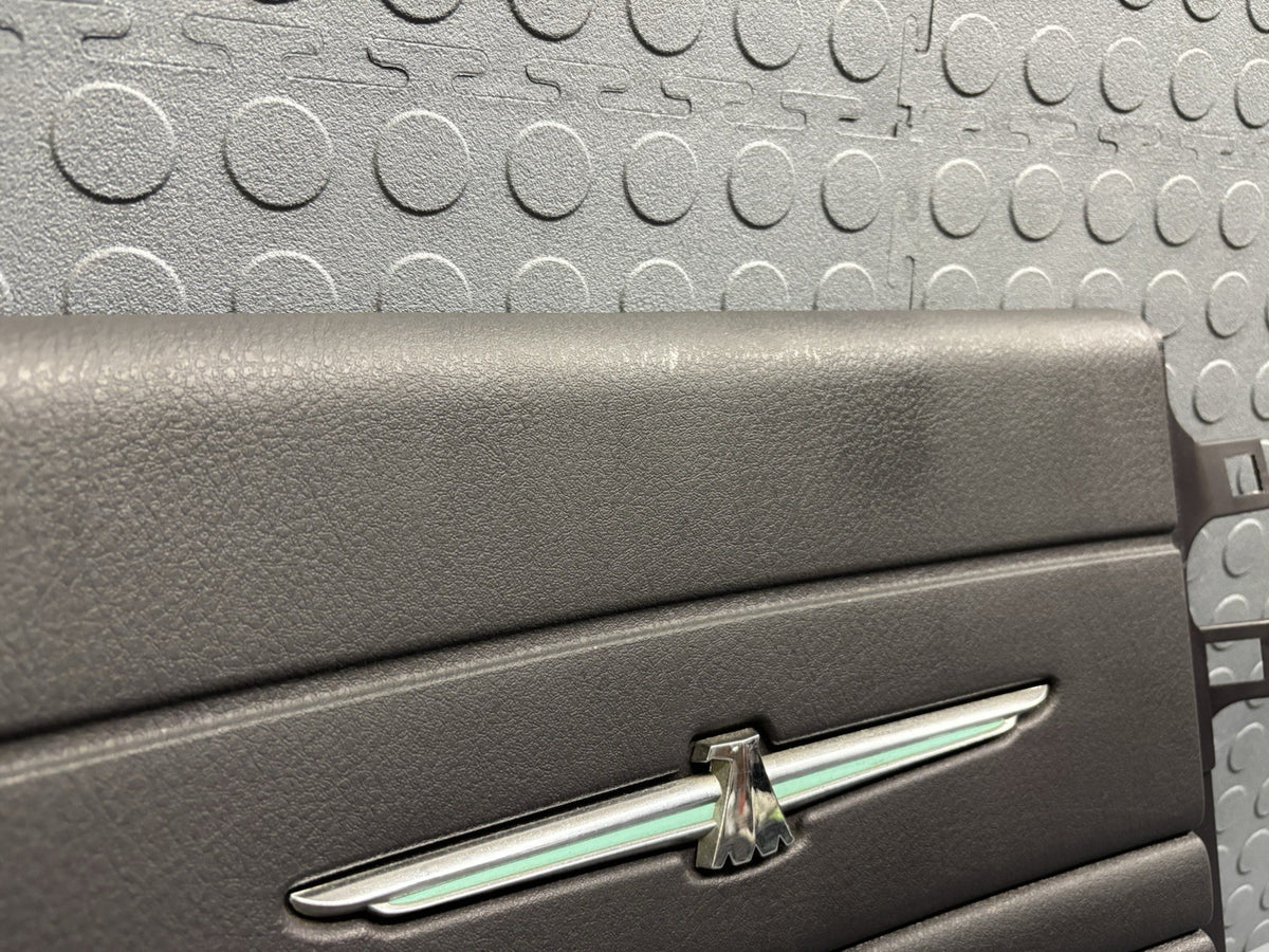 02-05 Ford Thunderbird Rear Center Cover Trim Wall Emblem Panel Black